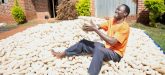 One Acre Fund