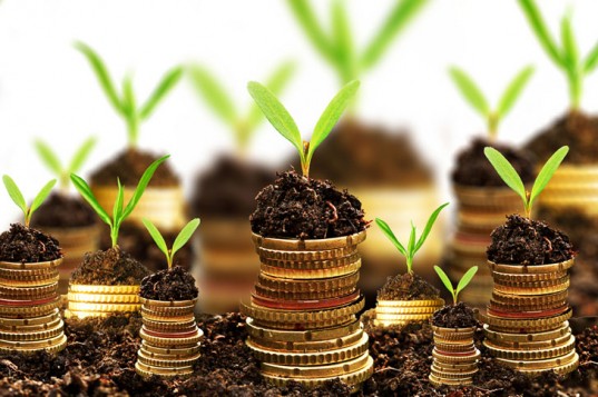 investments Seed funding