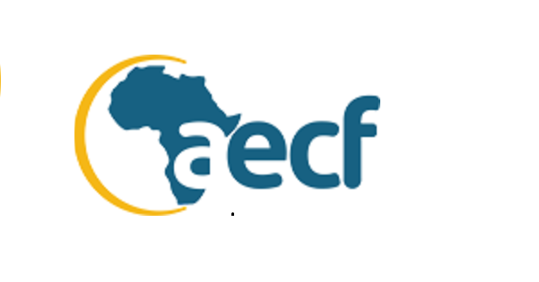 aefc-launches-us-4-million-financing-programme-to-support-clean-energy