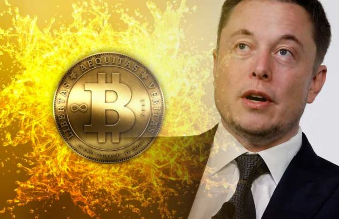 Elon buying bitcoin cryptocurrency in bubble